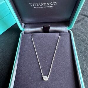 Tiffany and Co. Elsa Peretti Single Diamond Pendant in Platinum